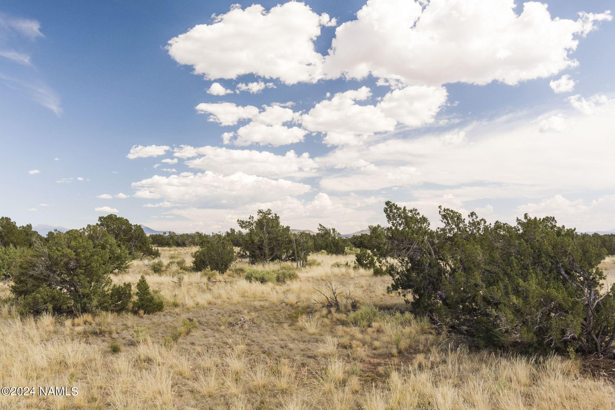 851 South Wyandotte Road Williams, AZ 86046 - Photo 24 of 25 851 S Wyandotte Rd Photo 15
