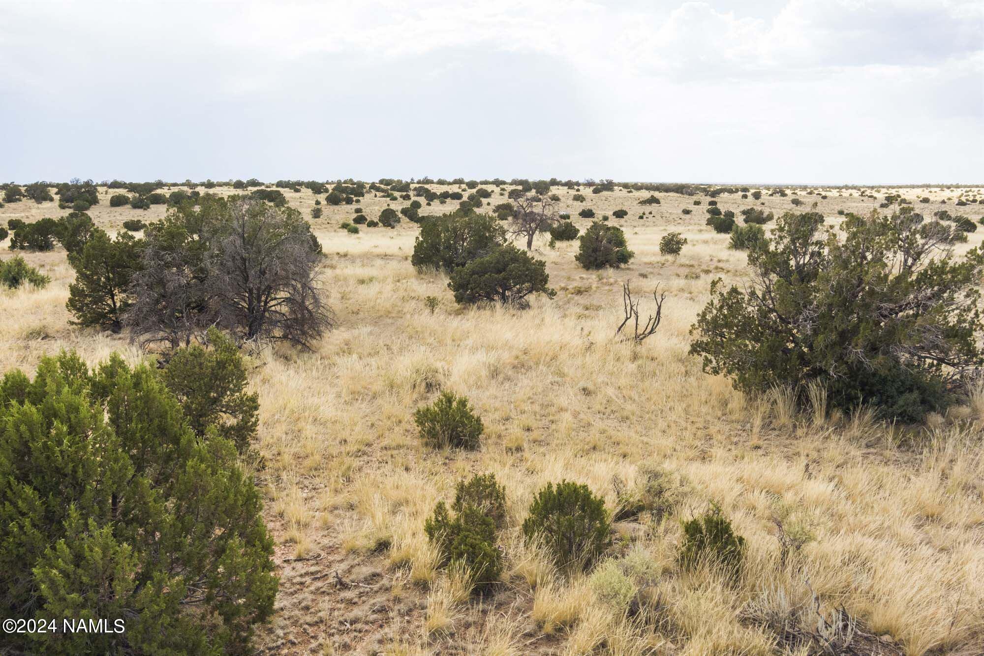 851 South Wyandotte Road Williams, AZ 86046 - Photo 25 of 25 851 S Wyandotte Rd Photo 16