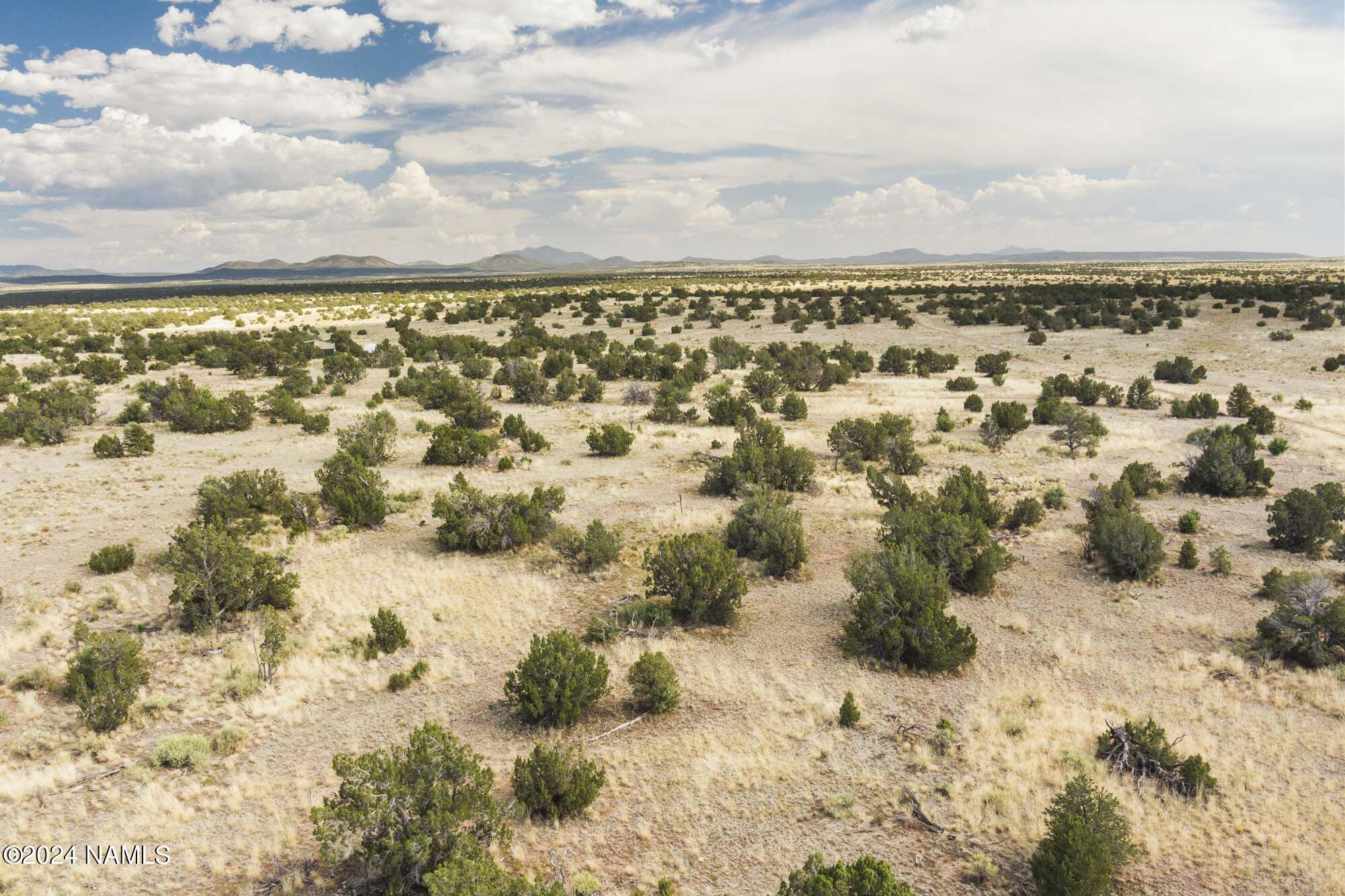 851 South Wyandotte Road Williams, AZ 86046 - Photo 3 of 25 851 S Wyandotte Rd Photo 18