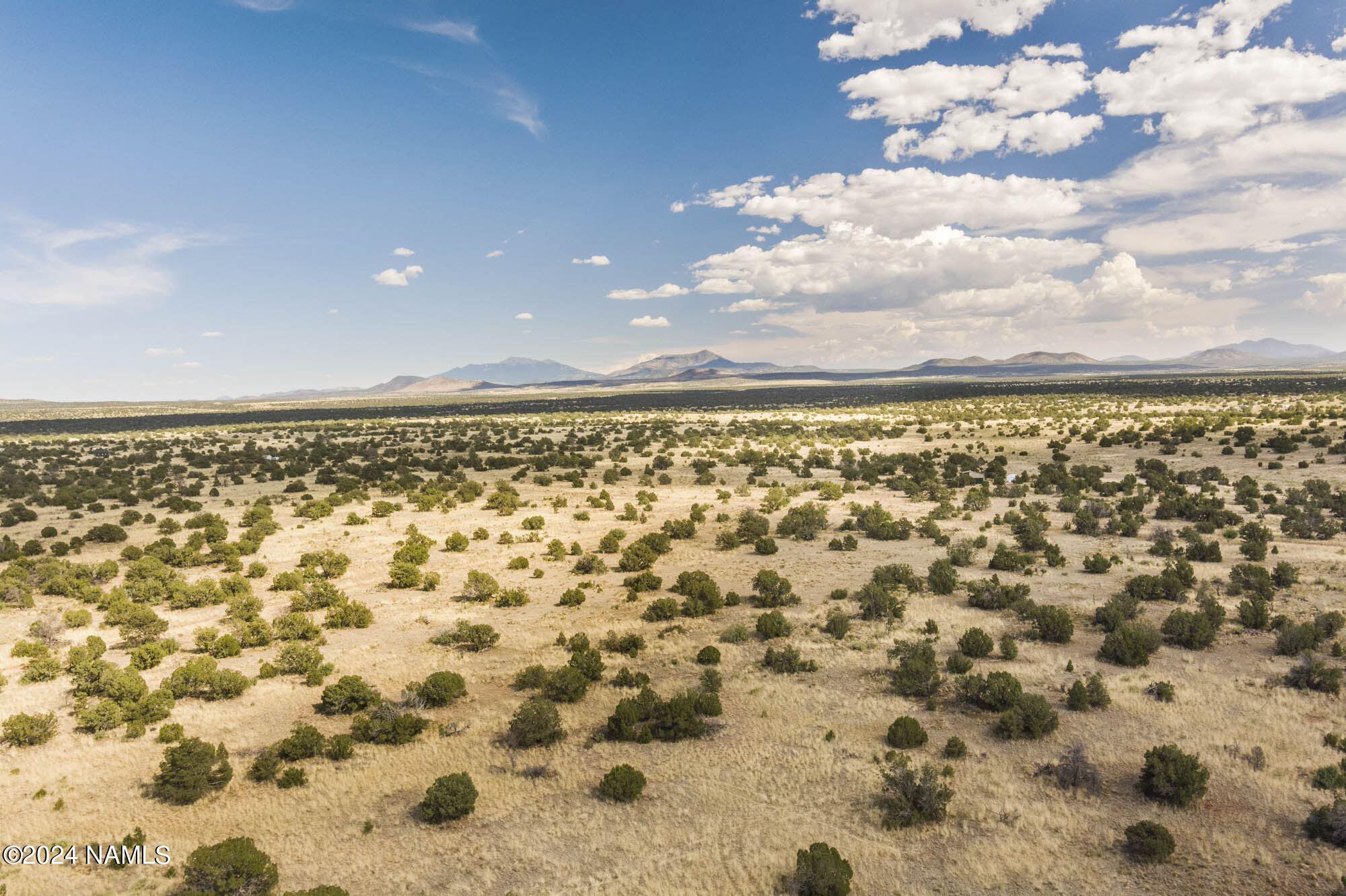 851 South Wyandotte Road Williams, AZ 86046 - Photo 4 of 25 851 S Wyandotte Rd Photo 20