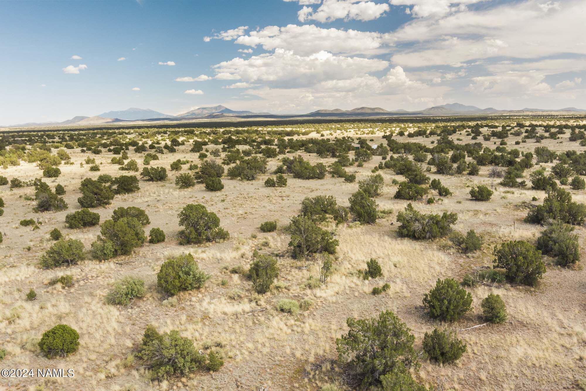 851 South Wyandotte Road Williams, AZ 86046 - Photo 5 of 25 851 S Wyandotte Rd Photo 19