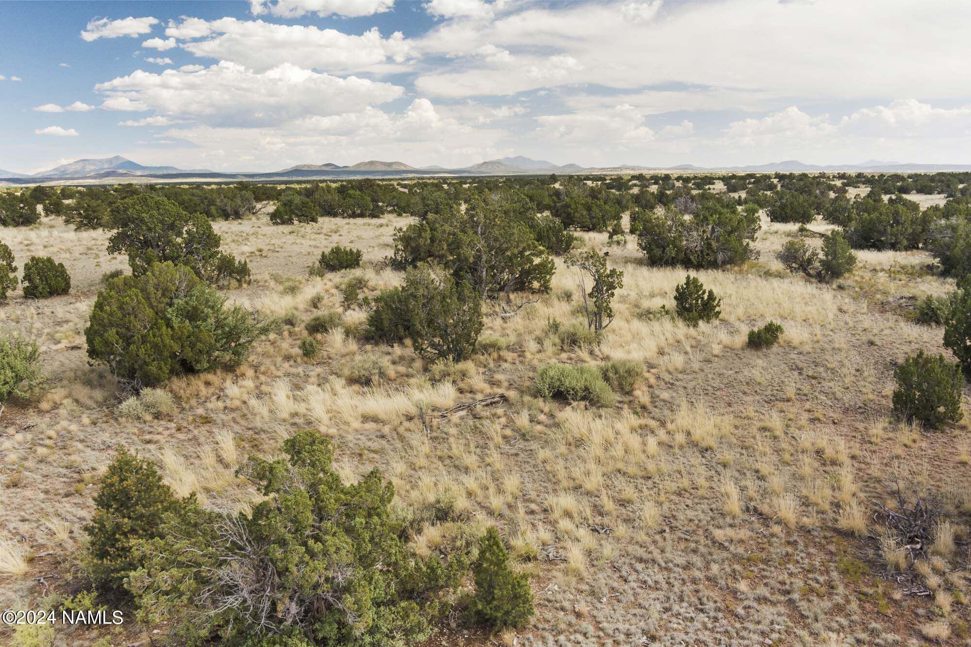 851 South Wyandotte Road Williams, AZ 86046 - Photo 6 of 25 851 S Wyandotte Rd Photo 17