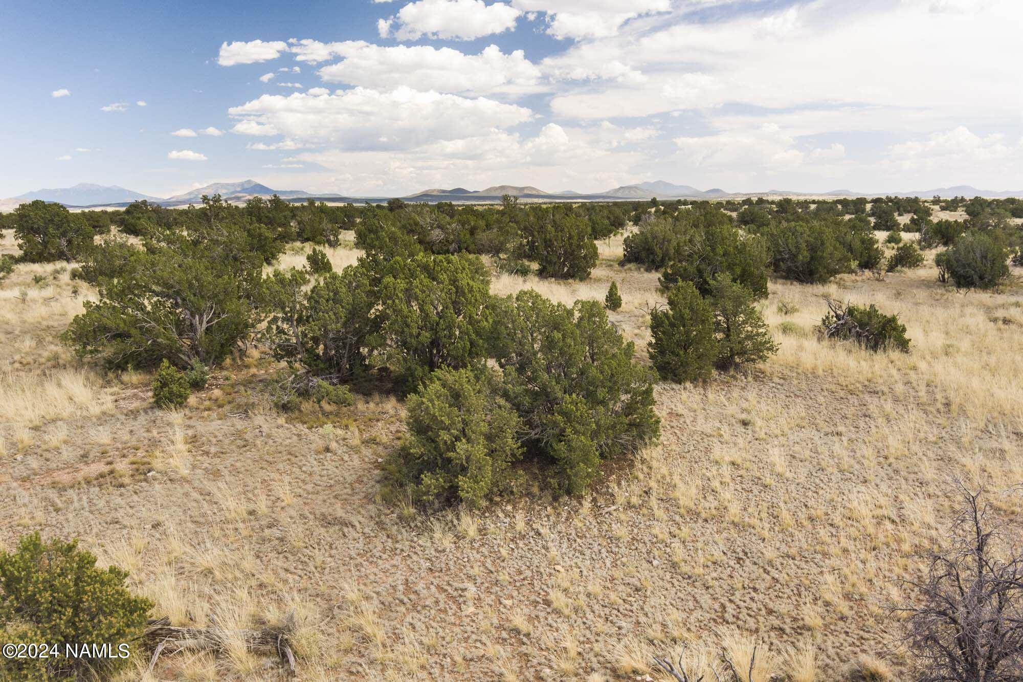 851 South Wyandotte Road Williams, AZ 86046 - Photo 7 of 25 851 S Wyandotte Rd Photo 14