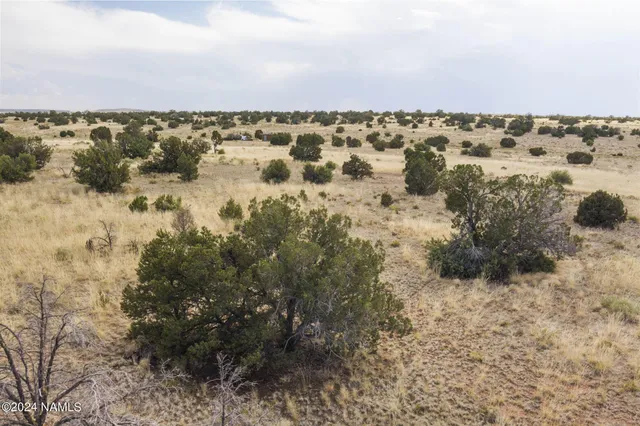 $14,000 | 851 South Wyandotte Road, Williams, AZ 86046