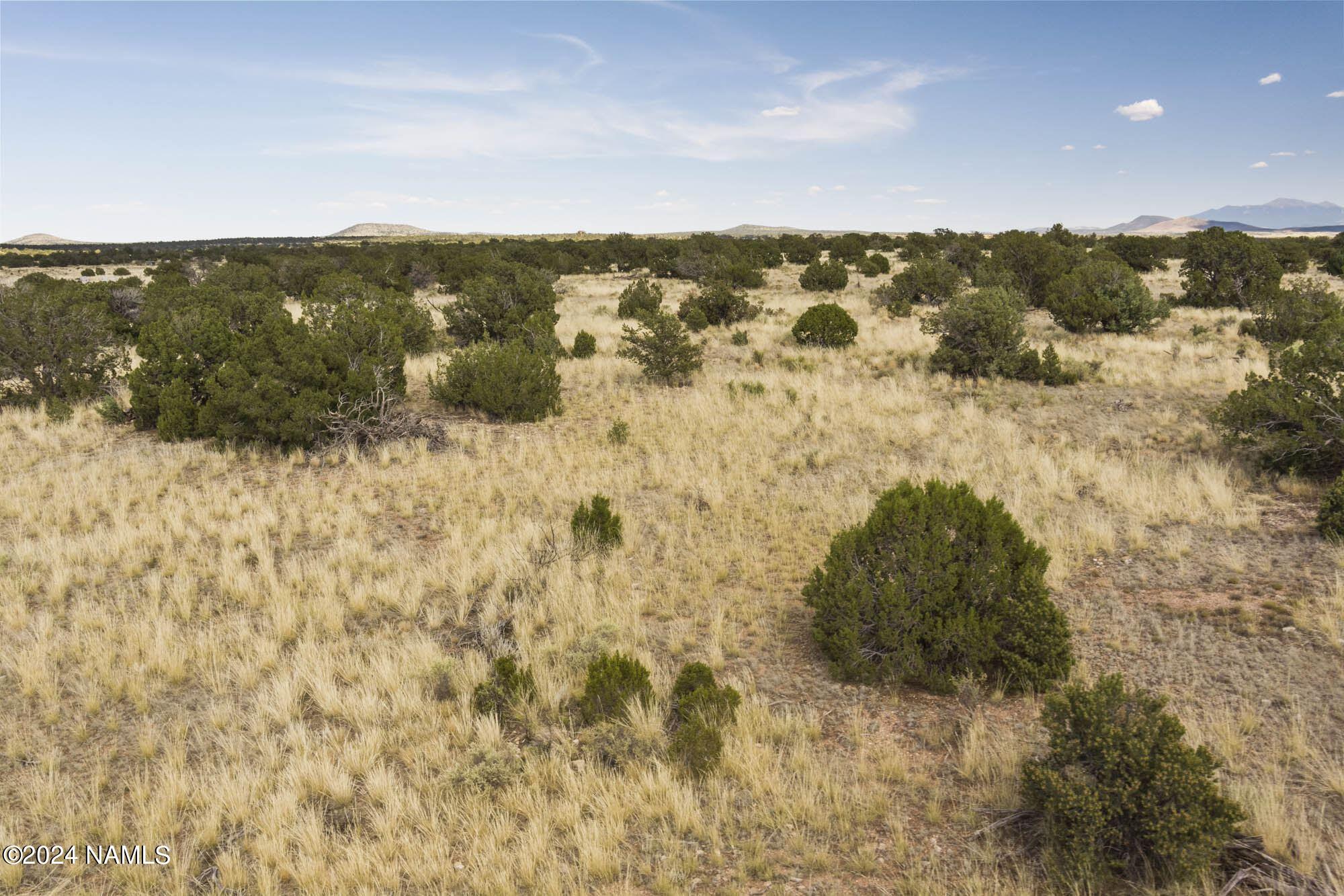 851 South Wyandotte Road Williams, AZ 86046 - Photo 9 of 25 851 S Wyandotte Rd Photo 11
