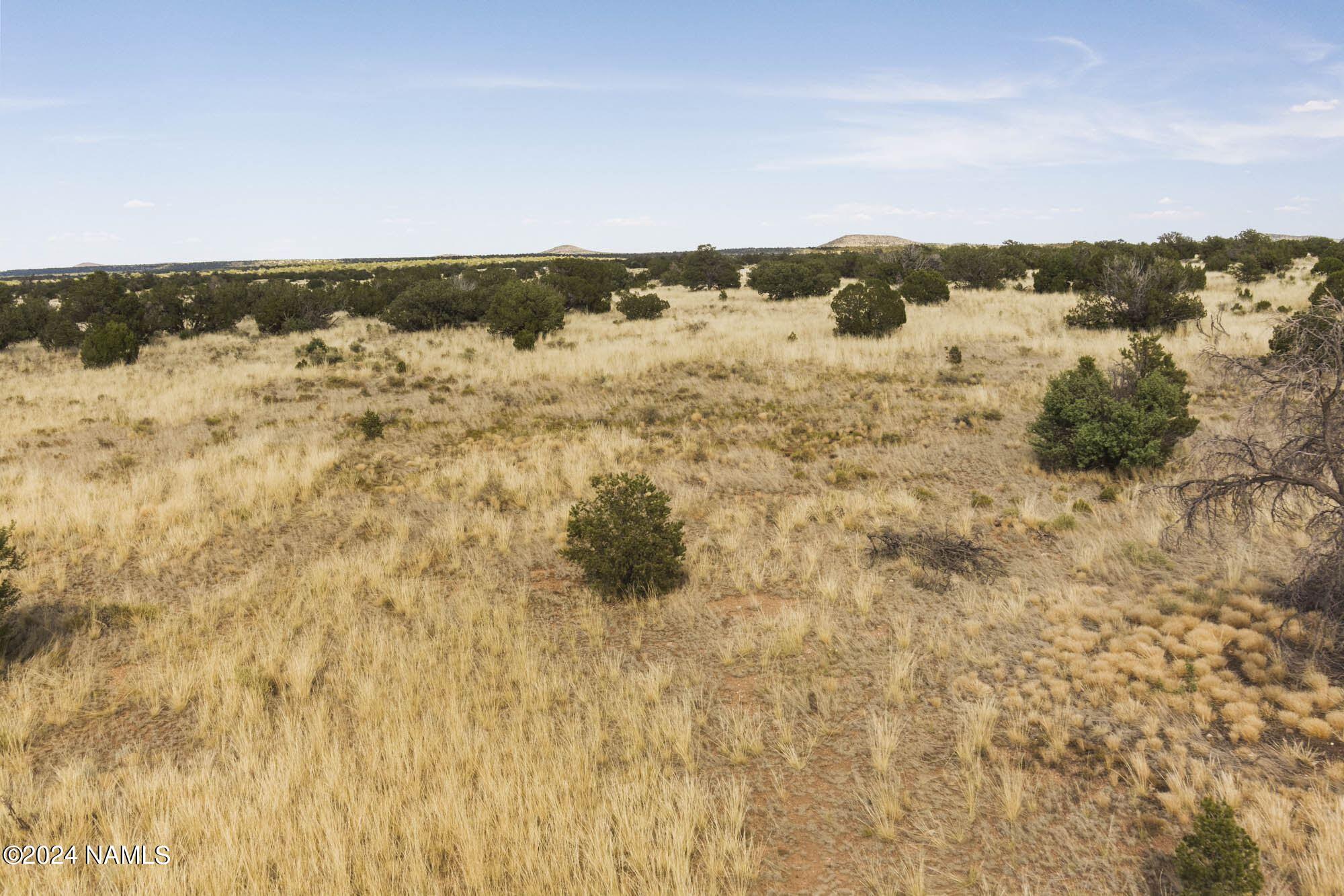 851 South Wyandotte Road Williams, AZ 86046 - Photo 10 of 25 851 S Wyandotte Rd Photo 10