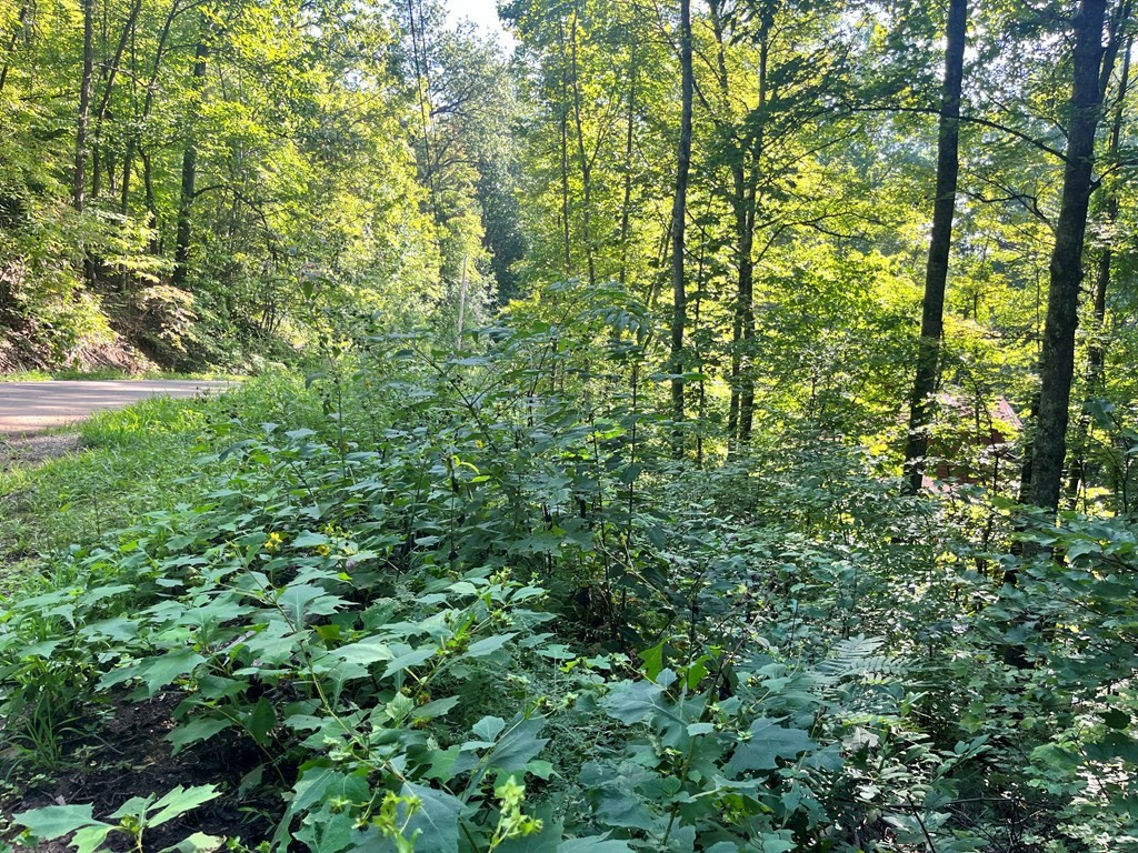 15 Raintree Road Gatlinburg, TN 37738 - Photo 2 of 9