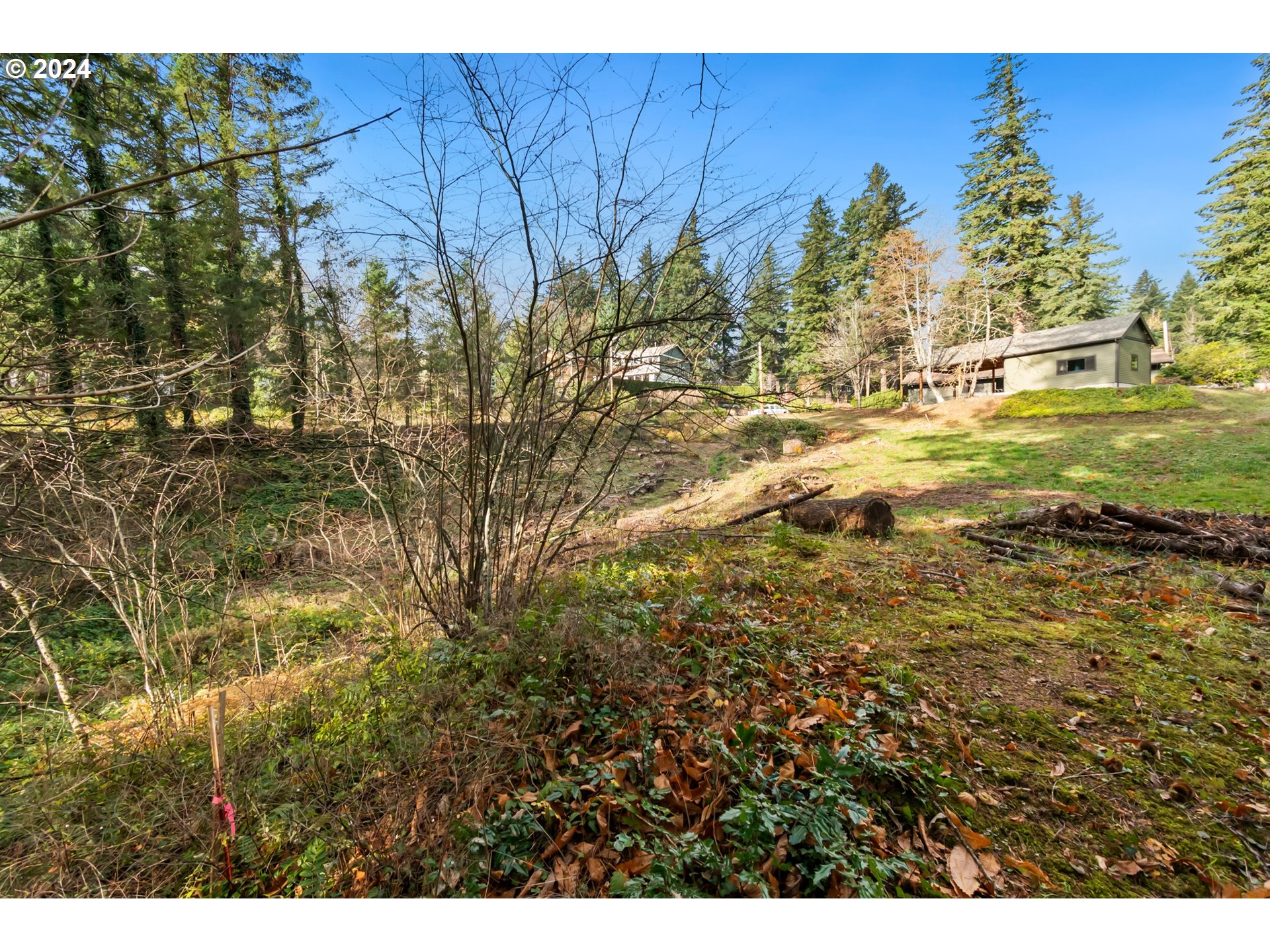 0 Northwest School (lot 2 Land) Road, Unit 2 Stevenson, WA 98648 - Photo 9 of 17
