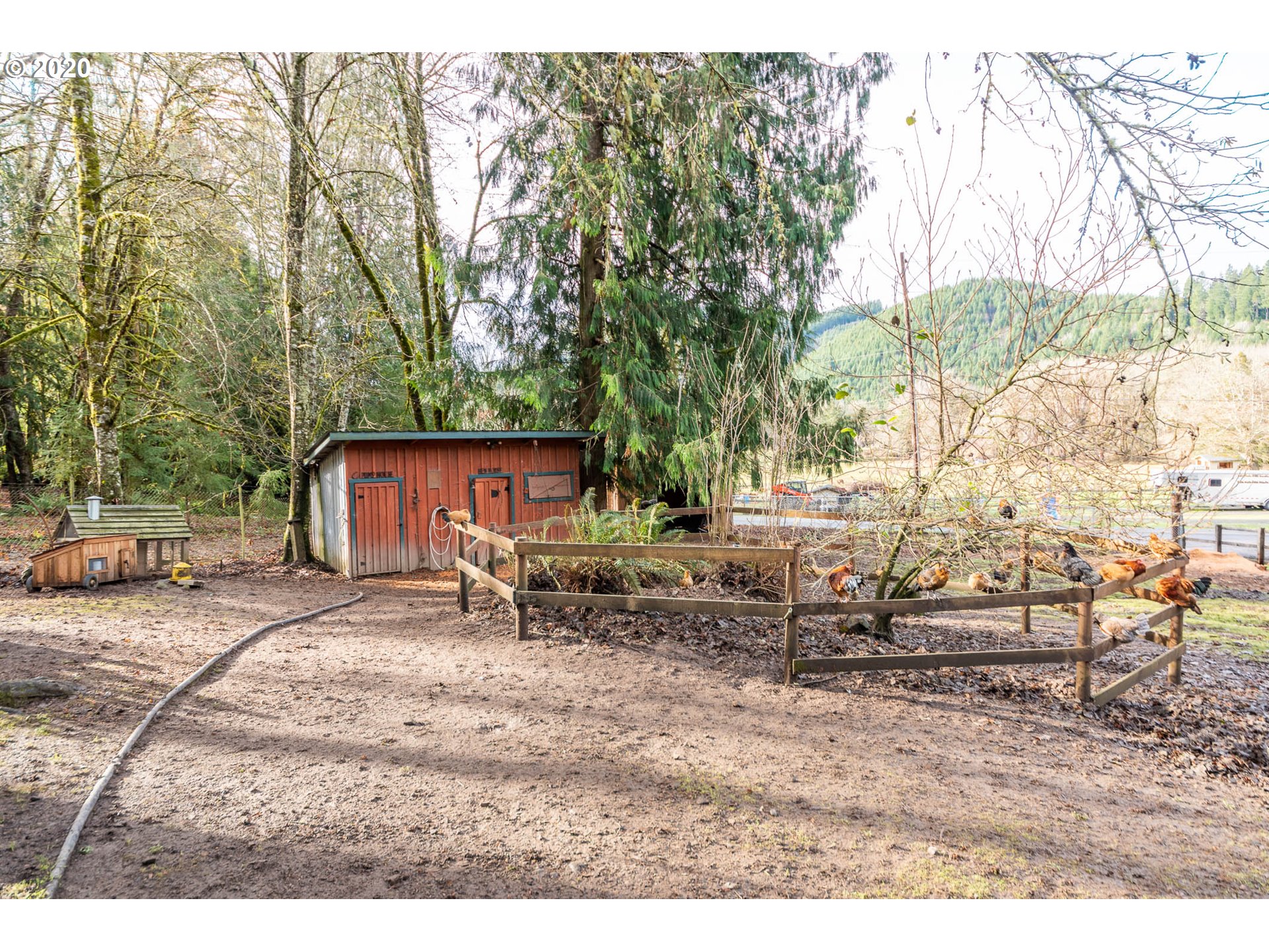94039 Horton Road Blachly, OR 97412 - Photo 8 of 29 Gallery Image 8