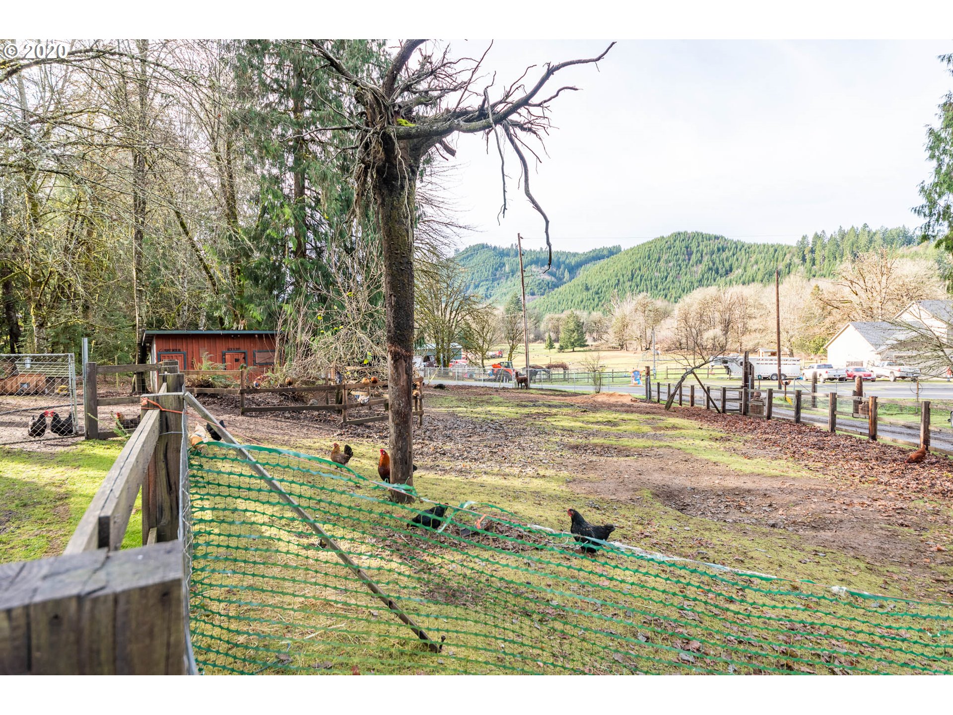 94039 Horton Road Blachly, OR 97412 - Photo 9 of 29 Gallery Image 9