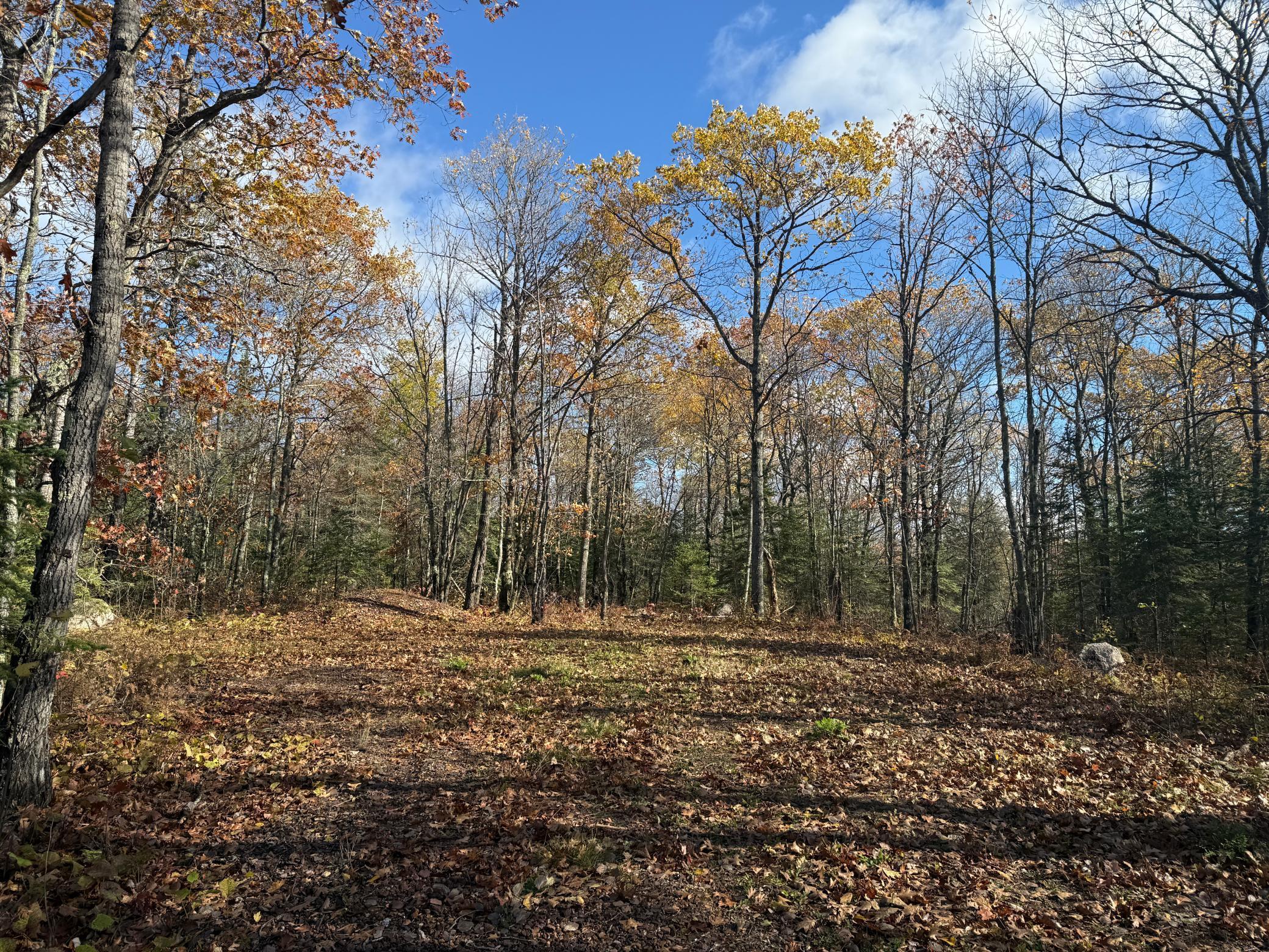 Tbd French Road Chisholm, MN 55719 - Photo 29 of 104