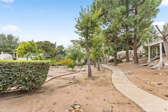 a view of a yard with plants and trees