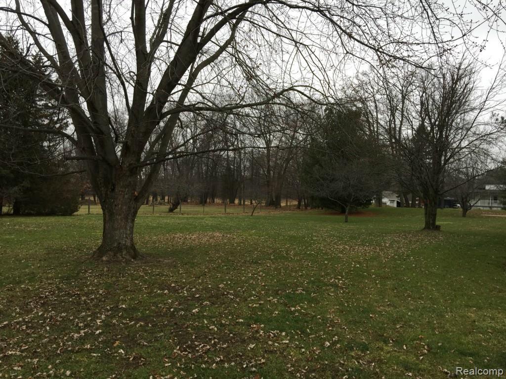 7305 Crofoot Road Fowlerville, MI 48836 - Photo 33 of 36 Side yard on the west