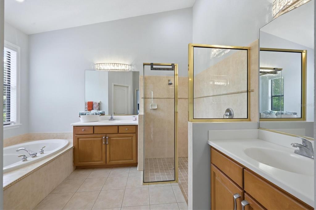 428 Snapdragon Loop Bradenton, FL 34212 - Photo 19 of 33 a bathroom with a tub sink and mirror
