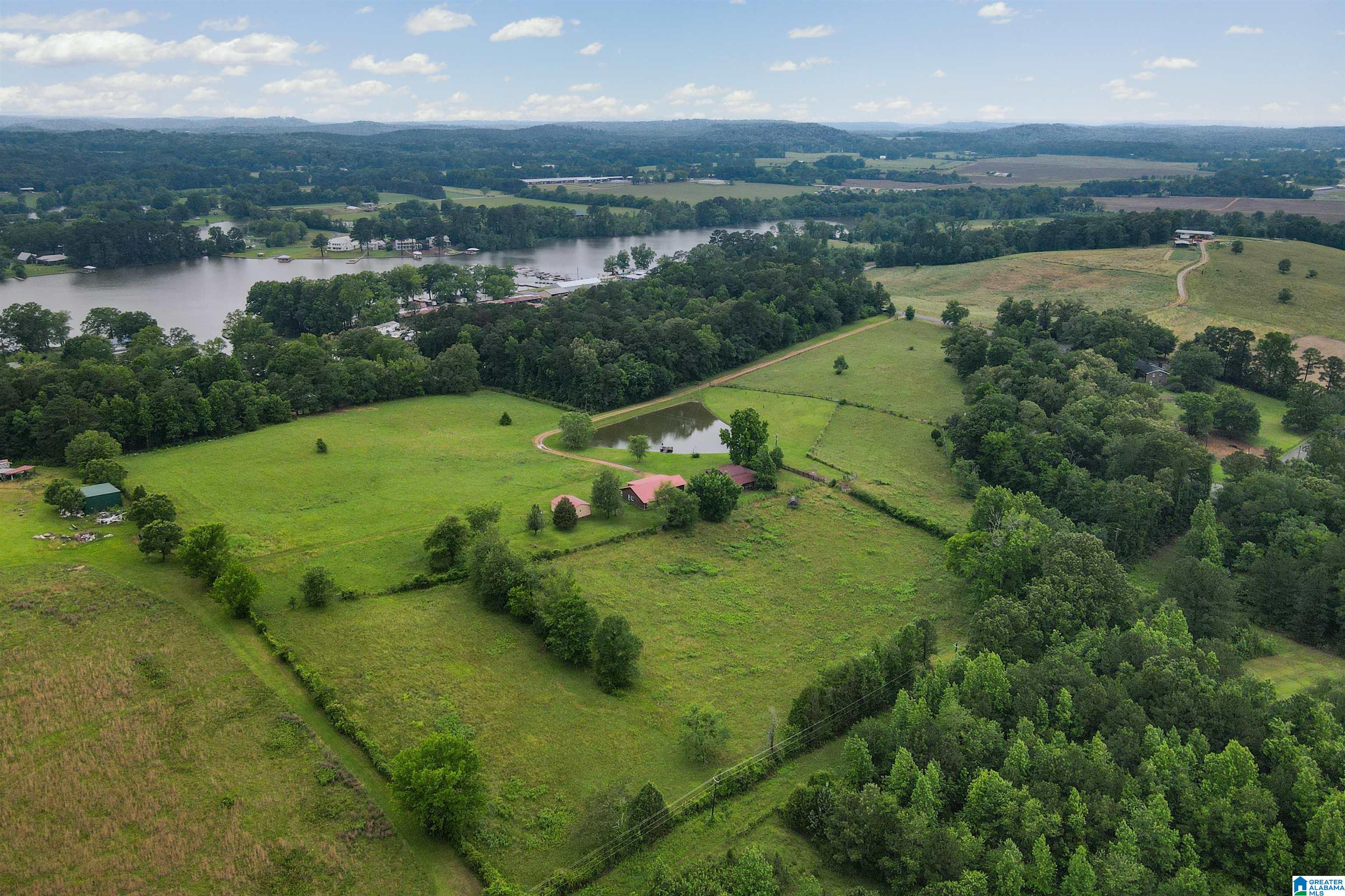 200 Treasure Island Road Cropwell, AL 35054 - Photo 46 of 48