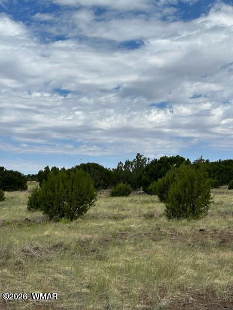 N3109 Rd Vernon Az 85940 Road Vernon, AZ 85940 - Photo 16 of 17