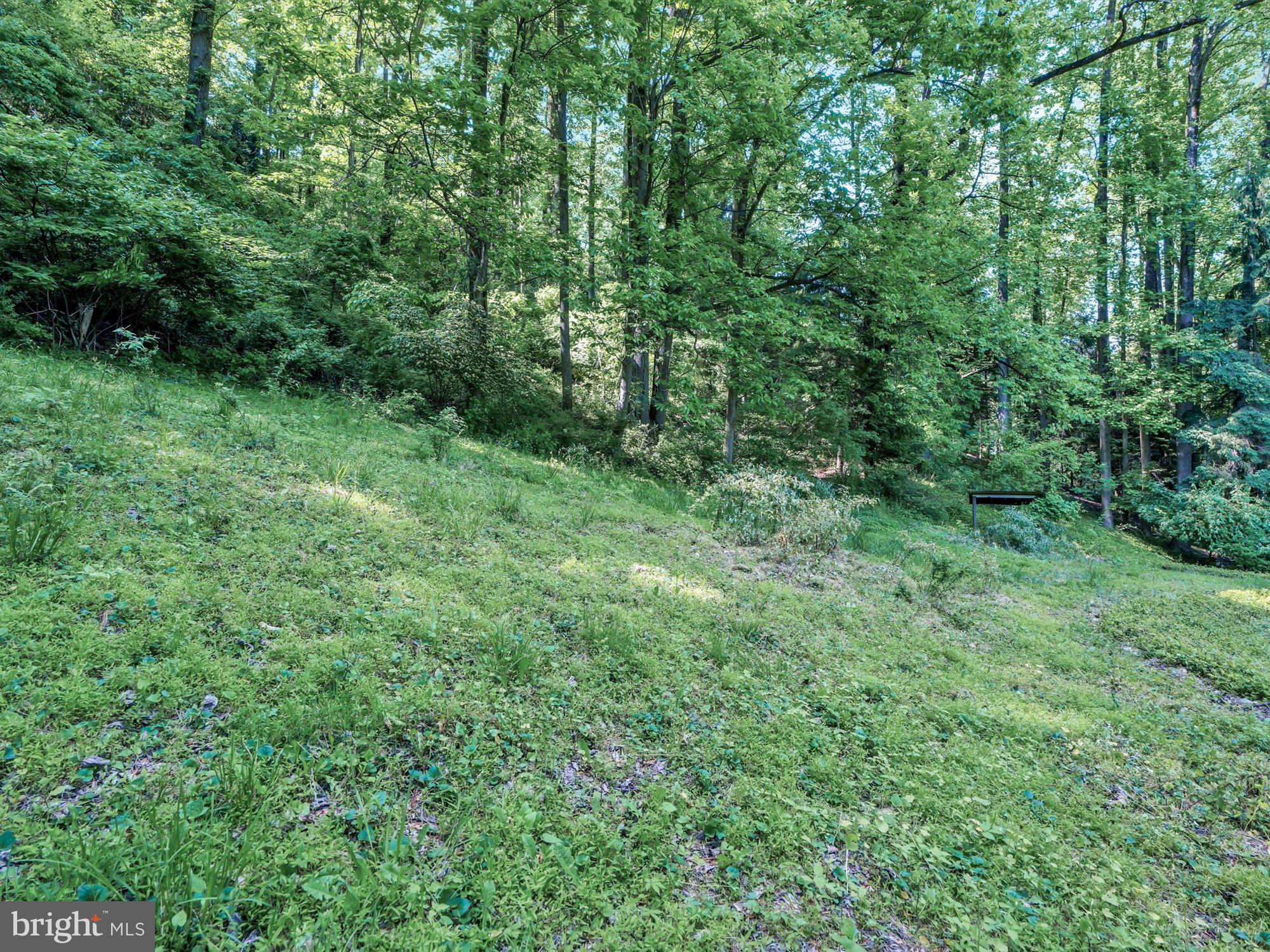 663 Point Road Wernersville, PA 19565 - Photo 23 of 31 Gallery Image 23