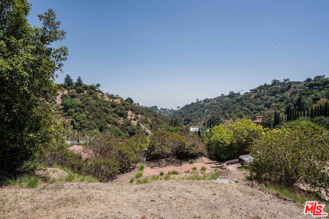 1181 Somera Road Los Angeles, CA 90077 - Photo 35 of 40 a view of a dry yard with trees in the background