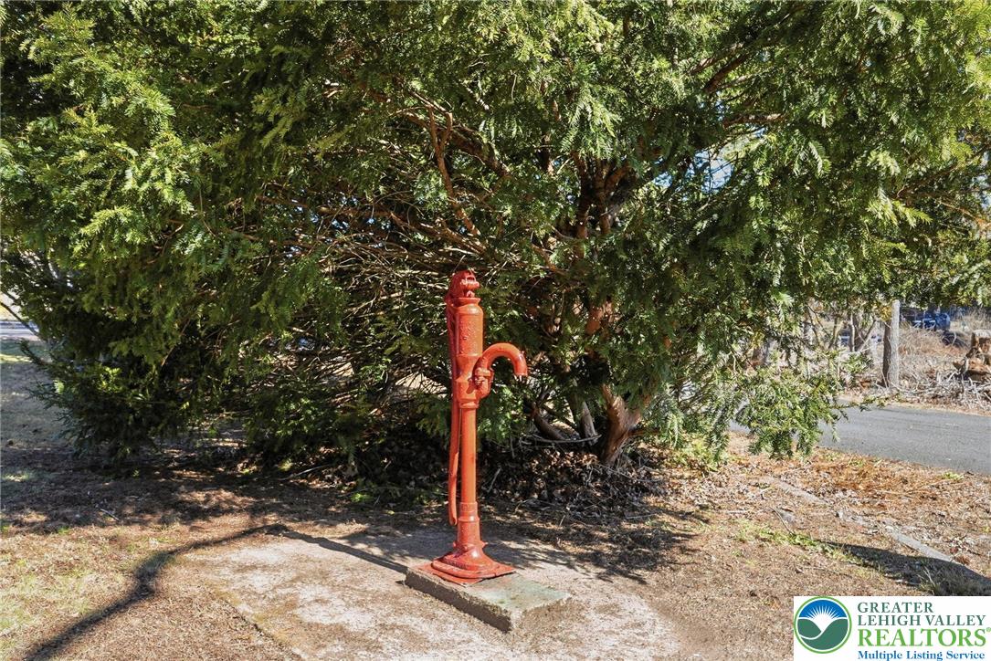 292 Walter Road Chalfont, PA 18914 - Photo 30 of 35 a flag is sitting in the middle of a tree