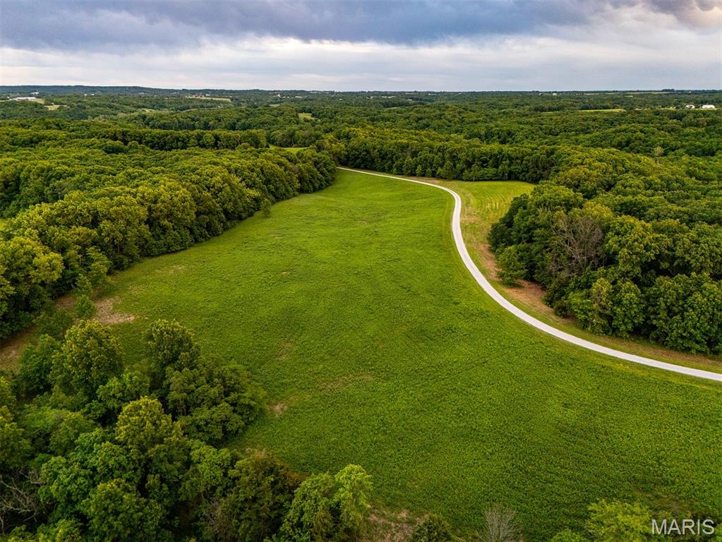 1144 Tickridge Road Silex, MO 63377 - Photo 30 of 37