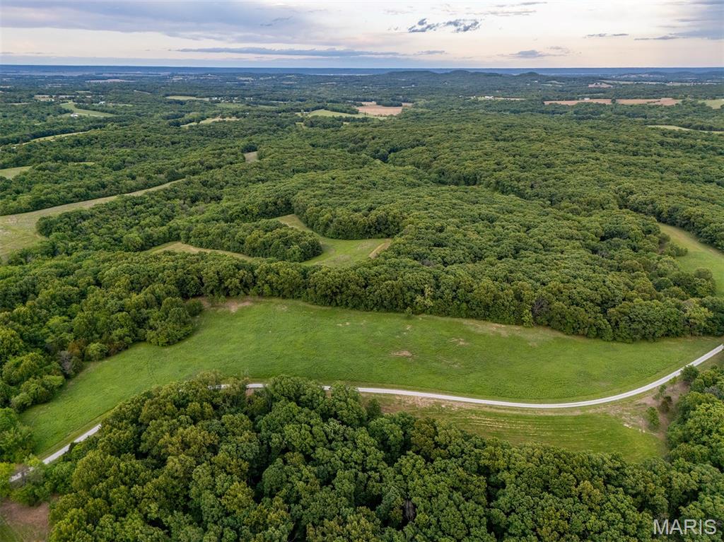 1144 Tickridge Road Silex, MO 63377 - Photo 31 of 37