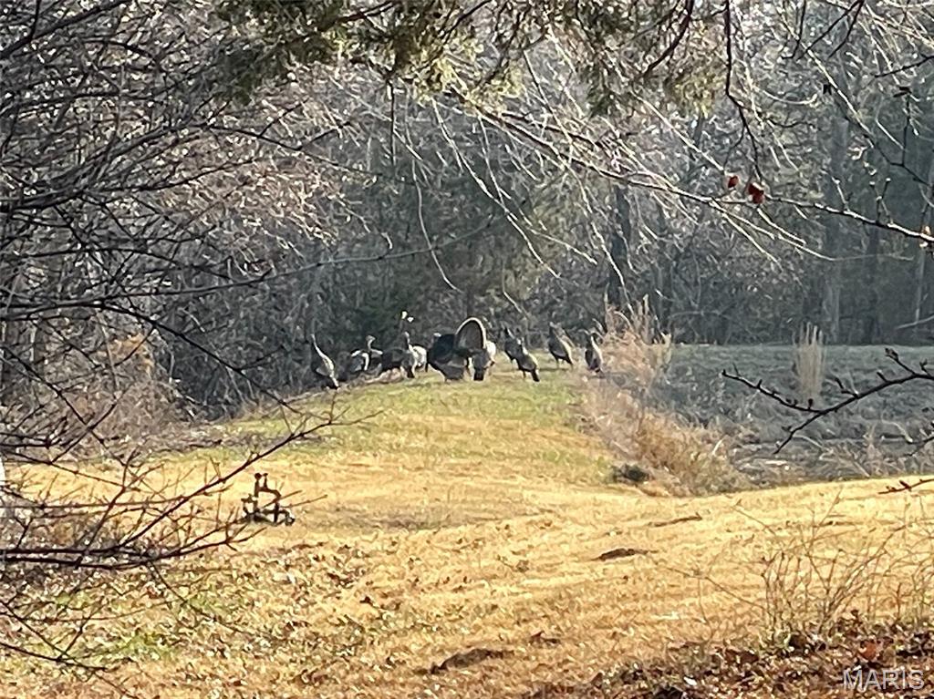 1144 Tickridge Road Silex, MO 63377 - Photo 36 of 37