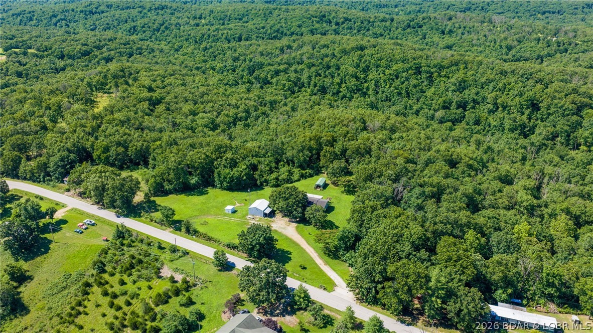 702 Doc Ridgeway Road Macks Creek, MO 65786 - Photo 44 of 56