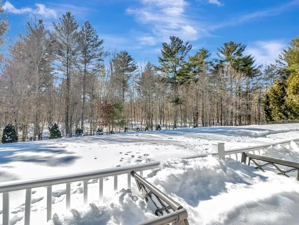 a view of a yard with snow on the road
