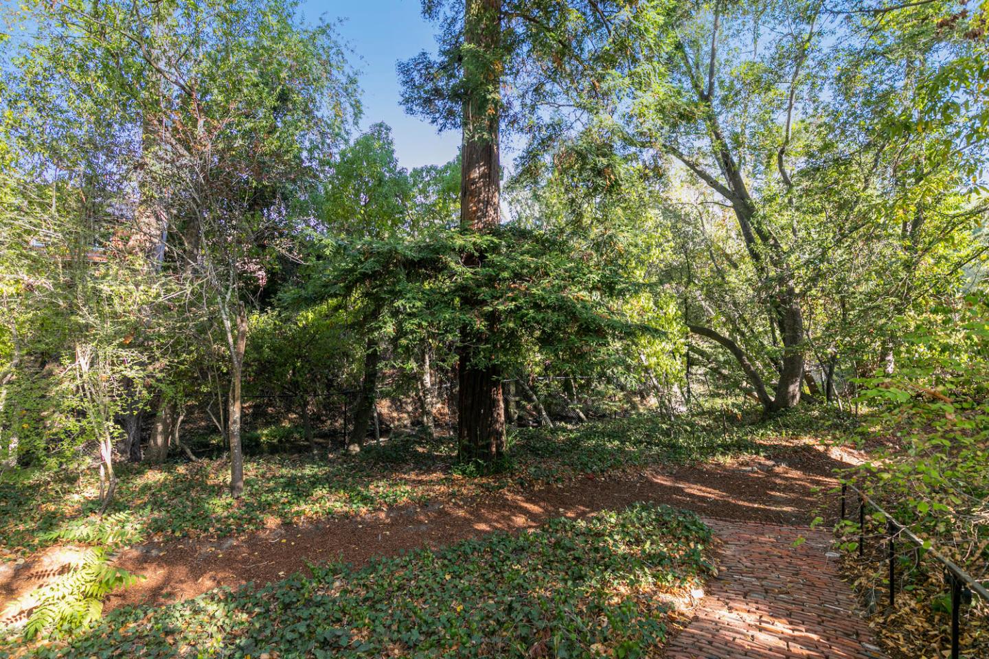 170 Bridge Road Hillsborough, CA 94010 - Photo 12 of 15 a view of outdoor space and yard