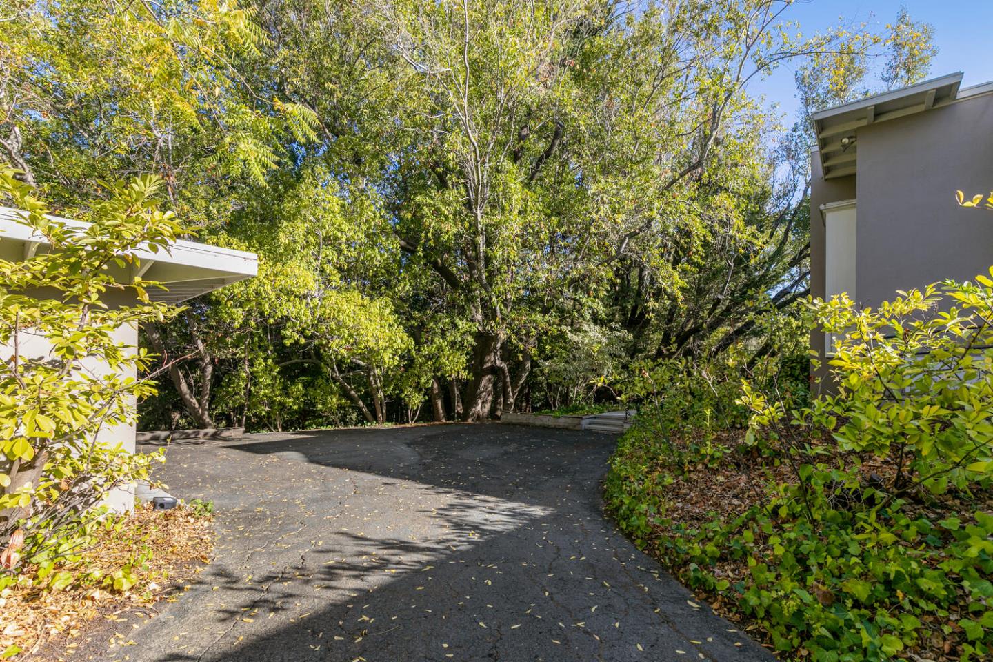 170 Bridge Road Hillsborough, CA 94010 - Photo 10 of 15 a view of outdoor space and yard