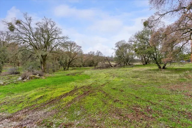 a grassy field with trees in the background