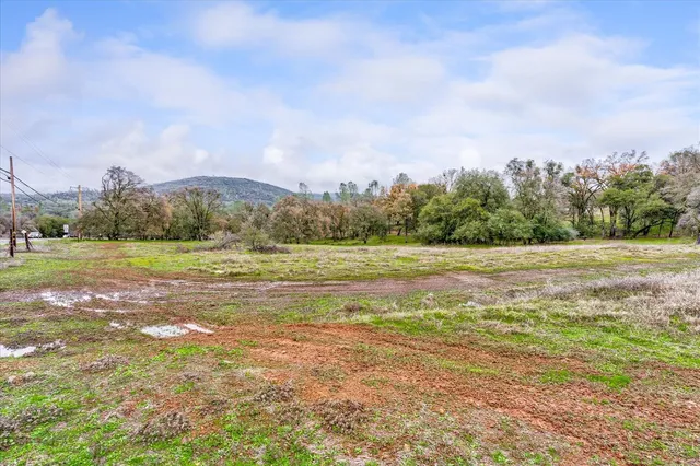 a view of a field with an ocean