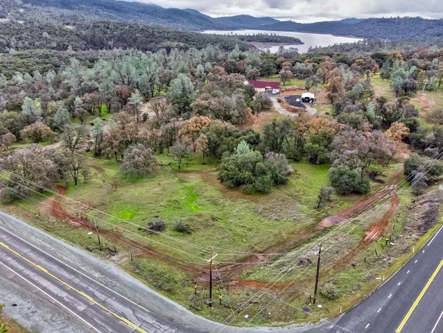 a view of a forest with a mountain and trees