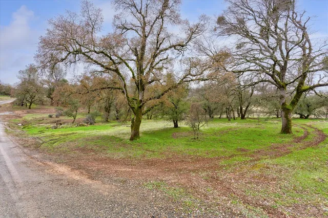 a view of backyard with green space