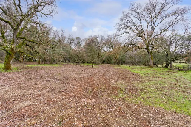 a view of a field with trees in the background