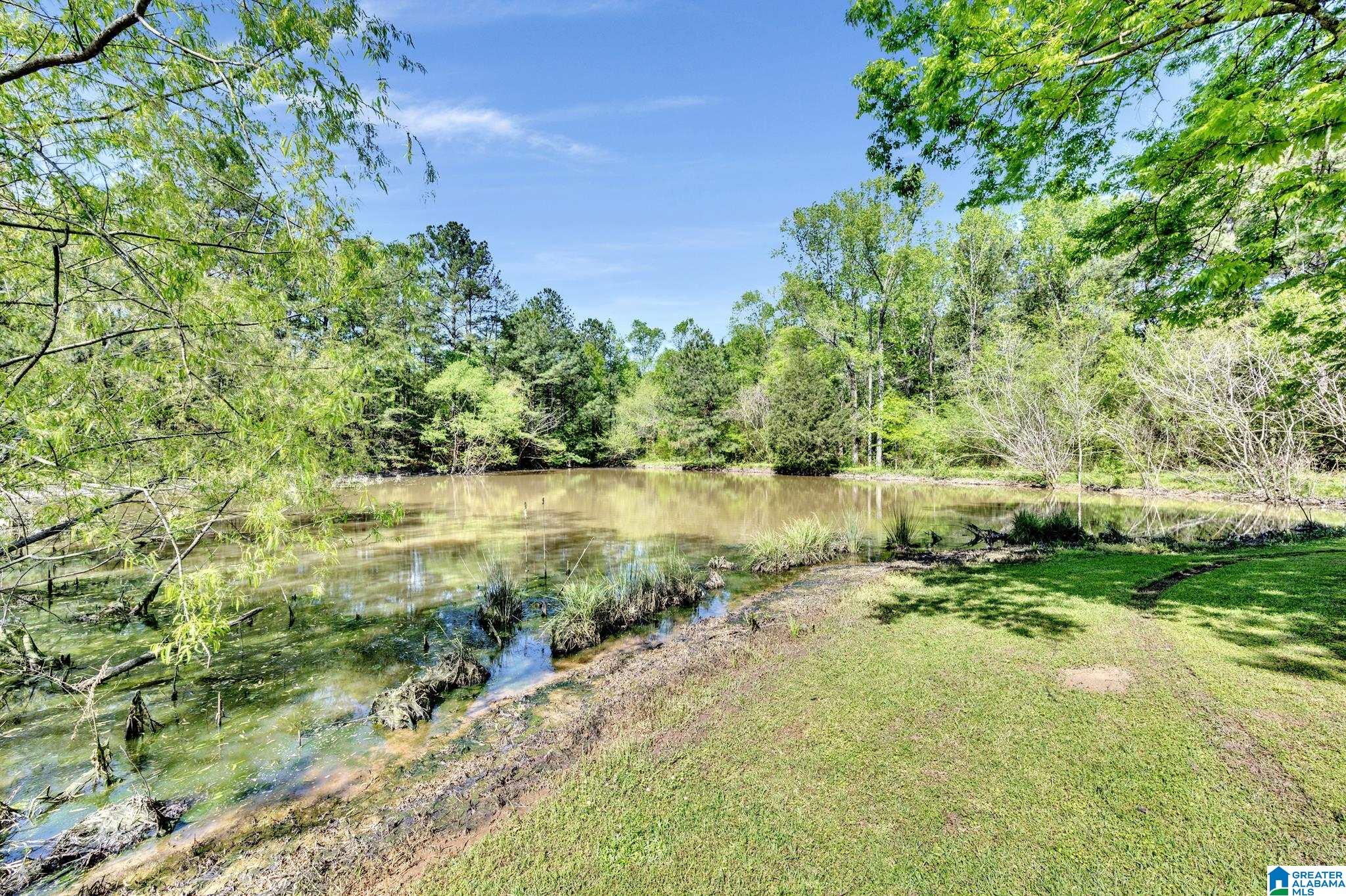 6776 New Castle Road Morris, AL 35116 - Photo 20 of 39