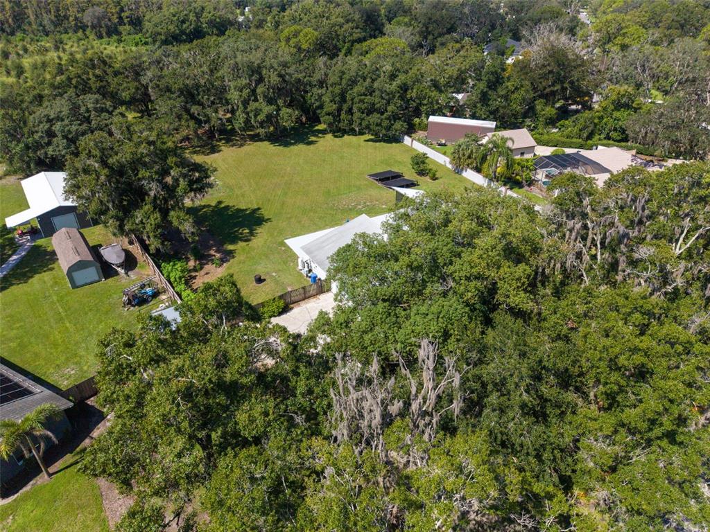 810 Warren Road Lutz, FL 33548 - Photo 58 of 68 Gallery Image 58