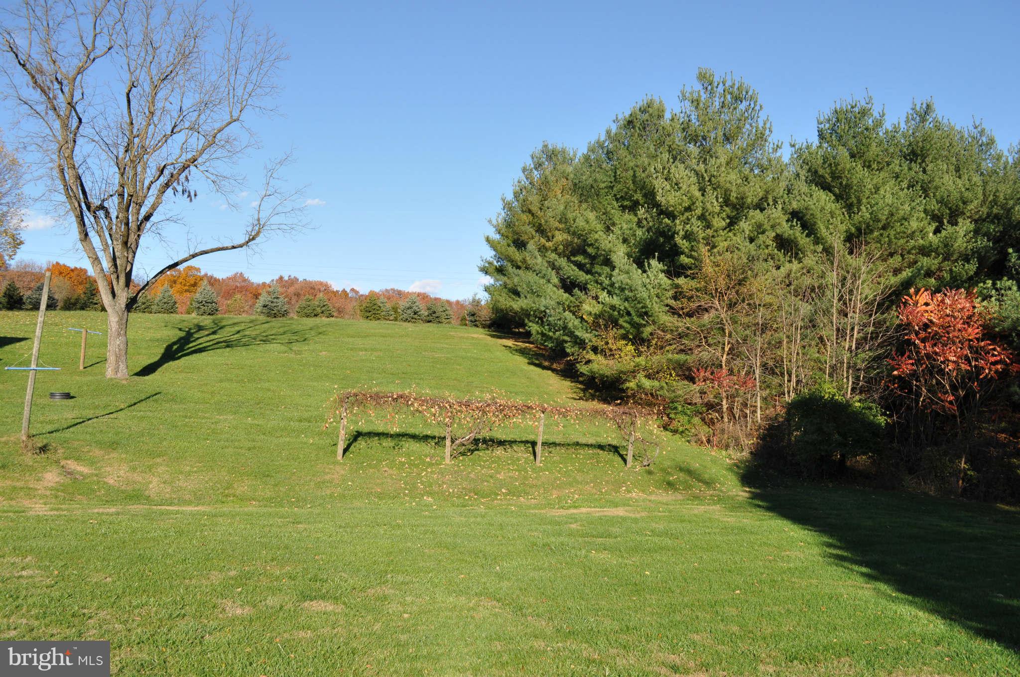 213 North Clear Ridge Road Union Bridge, MD 21791 - Photo 17 of 17 LOTS OF ROOM TO ROAM