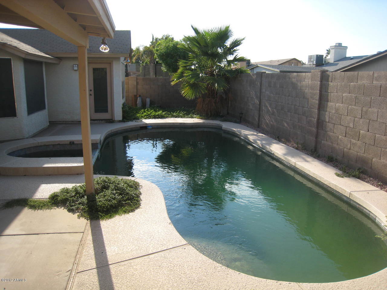 4529 East Frye Road Phoenix, AZ 85048 - Photo 17 of 18 Pool and spa