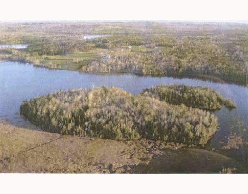 0 Briggs Road Parkman, ME 04443 - Photo 1 of 8 Aerial View.