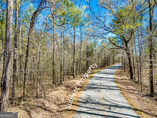 a view of street along with trees