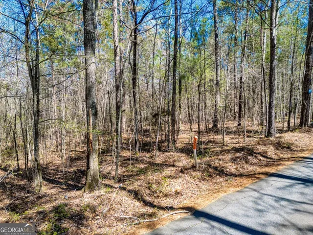 a view of a yard with plants and trees