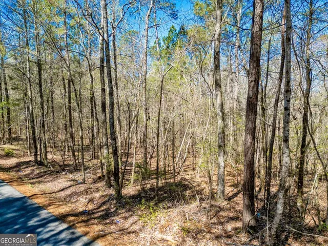 a view of yard with tree
