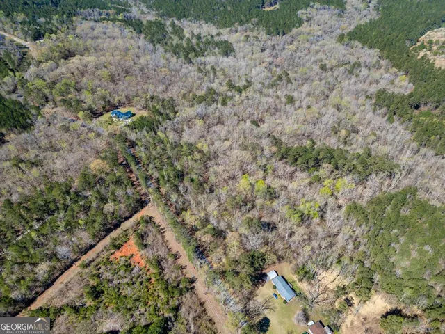 a view of a yard with a plant