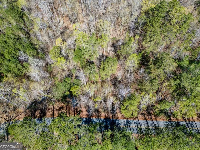 a view of a garden with a tree
