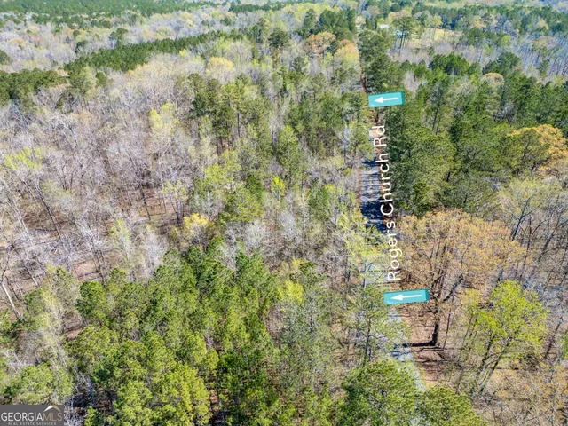 a view of a tree with a yard
