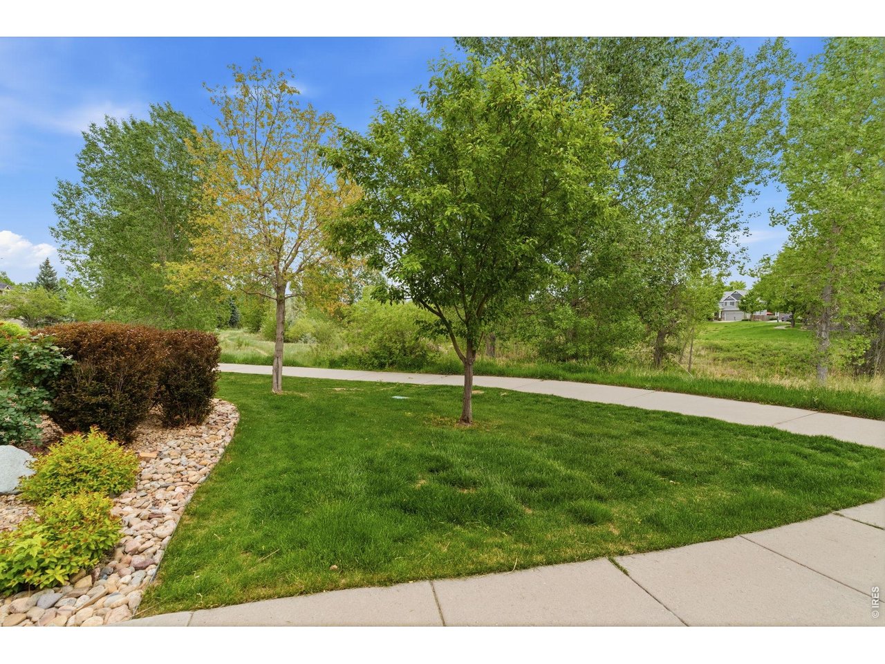 5408 Old Mill Road Fort Collins, CO 80528 - Photo 4 of 48