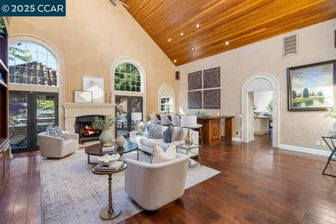 a living room with furniture a fireplace and a potted plant