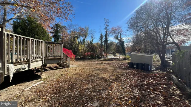 a view of a park with large trees
