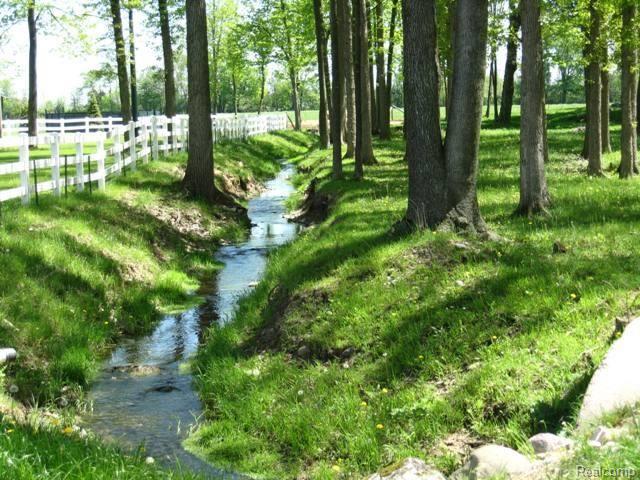 17760 33 Mile Road Armada, MI 48005 - Photo 6 of 23 Copy (2) of Creek